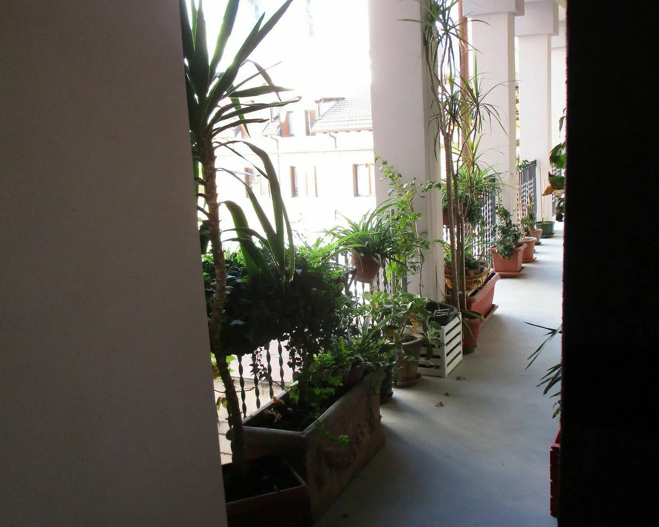 Isola Studios Milan
